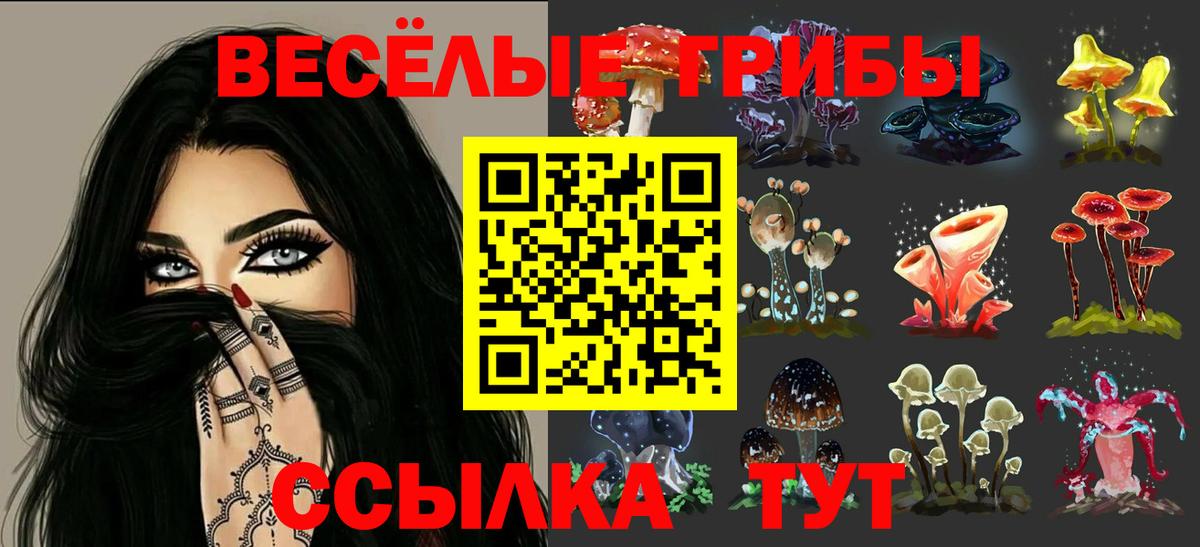 Дагестанские Огни  Псилоцибиновые грибы Psilocybe  Вход с VPN 